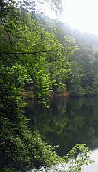 adressen/images/der_isenach_weiher_-_1.gif