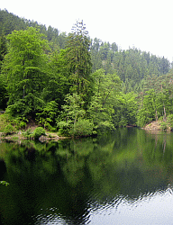 adressen/images/der_isenach_weiher_-_2.gif