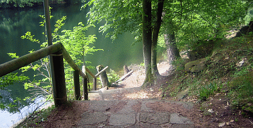 adressen/images/isenach_weiher_zwischen_bad_duerkheim_und_kaiserslautern.gif