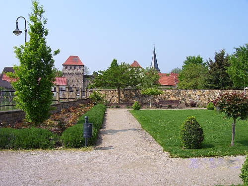 blick_auf_das_historische_staedtchen_freinsheim_cw.jpg