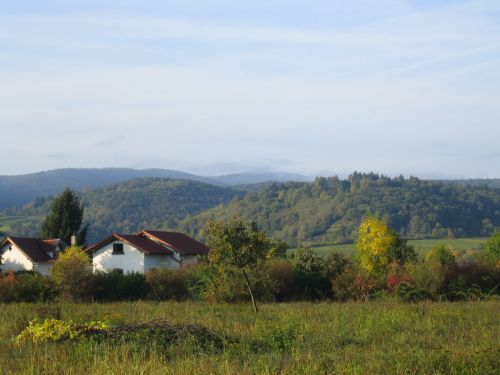blick_auf_die_haardt_am_12._10.2014_-_1.jpg