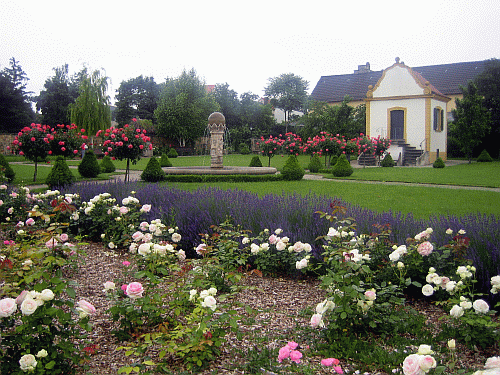 freinsheim_-_sommer_im_barockgarten.gif