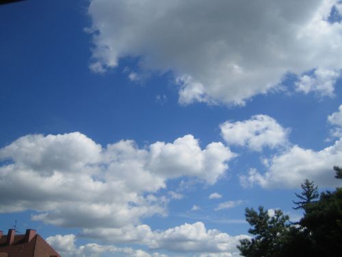 himmlische_pfalz_1.jpg