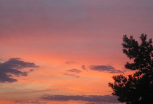sommermorgen_um_6.00h.jpg