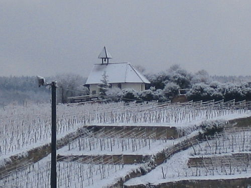 verschneite_michaelis-kapelle_bei_bad_duerkheim.jpg