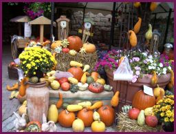 news/images/bauernmarkt.jpg