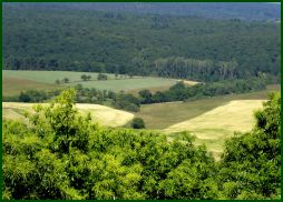 news/images/blick_vom_donnersberg.jpg