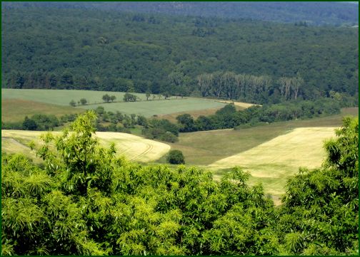 news/images/donnersberg_blick.jpg