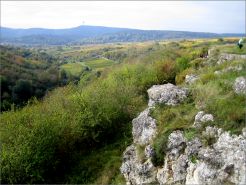 news/images/felsenberg_im_berntal.jpg