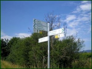 Mit Inlinern durch die Weinberge bis Niederkirchen ...