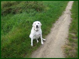 news/images/plaetze_...los_..._roxy_im_naturschutzgebiet_berntal.jpg