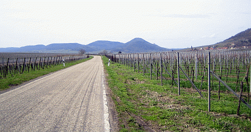 auf_dem_weg_nach_schweigen-rechtenbach_500