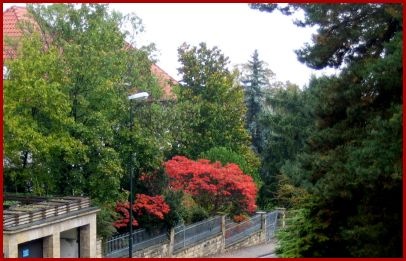 blick_aus_dem_fenster_..._406