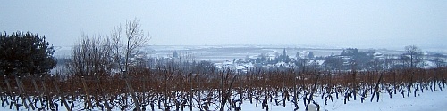 blick_in_die_rheinebene_im_winter_500