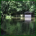 fischweiher_im_pfaelzerwald_bei_wachenheim_154