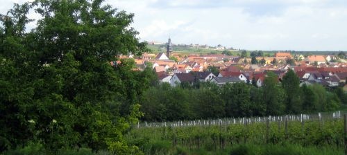 kallstadt_500