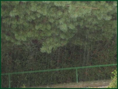 regen_406