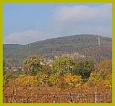 weinstrasse_herbst_2011-3_167