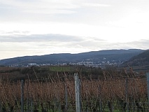 winter_-_blick_auf_bad_duerkheim_ueber_den_michelsberg._213